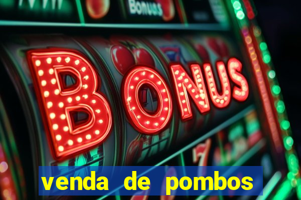 venda de pombos correios olx